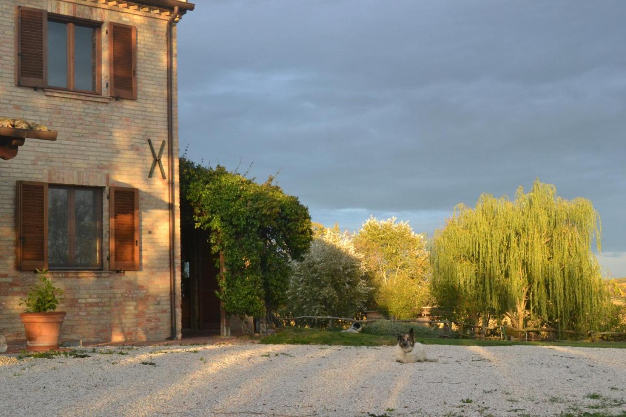 B&B Le Tamerici San Giorgio di Pesaro Exterior foto